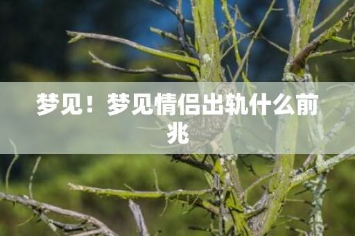 梦见！梦见情侣出轨什么前兆