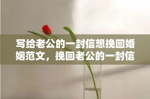 写给老公的一封信想挽回婚姻范文，挽回老公的一封信怎么写