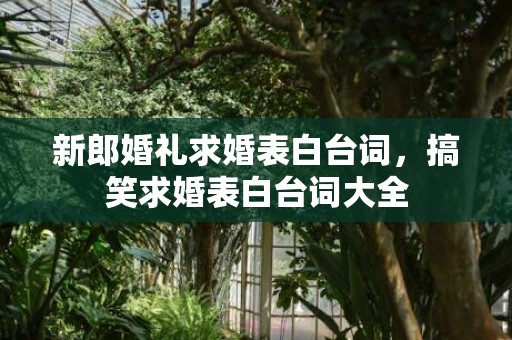 新郎婚礼求婚表白台词，搞笑求婚表白台词大全