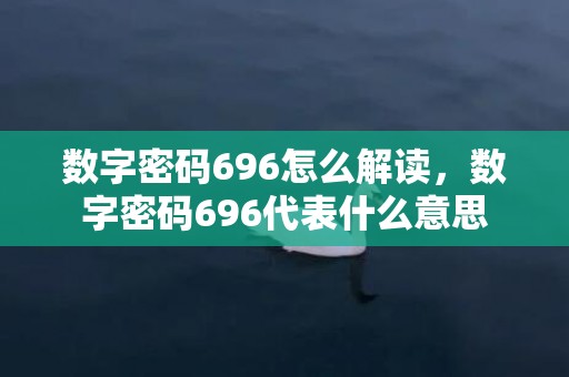 数字密码696怎么解读，数字密码696代表什么意思