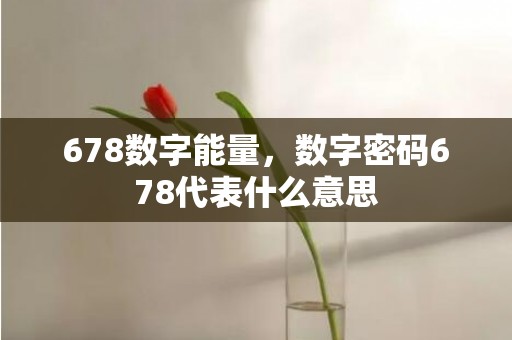 678数字能量，数字密码678代表什么意思