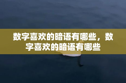 数字喜欢的暗语有哪些，数字喜欢的暗语有哪些