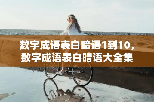 数字成语表白暗语1到10，数字成语表白暗语大全集