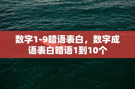 数字1-9暗语表白，数字成语表白暗语1到10个