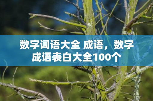 数字词语大全 成语，数字成语表白大全100个