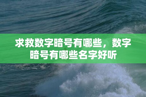 求救数字暗号有哪些，数字暗号有哪些名字好听