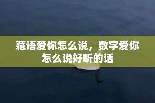 藏语爱你怎么说，数字爱你怎么说好听的话