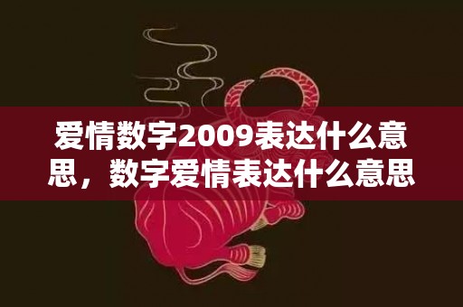 爱情数字2009表达什么意思，数字爱情表达什么意思呢