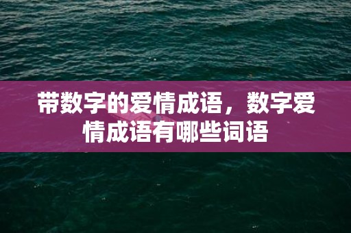 带数字的爱情成语，数字爱情成语有哪些词语