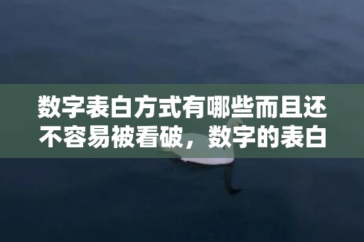 数字表白方式有哪些而且还不容易被看破，数字的表白方式有哪些呢