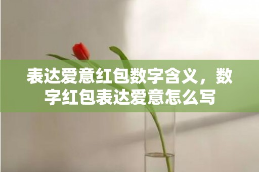 表达爱意红包数字含义，数字红包表达爱意怎么写