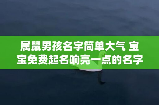 属鼠男孩名字简单大气 宝宝免费起名响亮一点的名字(属水土的男孩名字简单好记)