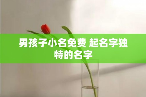 男孩子小名免费 起名字独特的名字