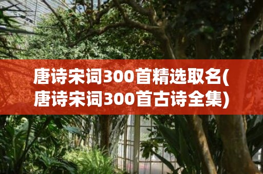 唐诗宋词300首精选取名(唐诗宋词300首古诗全集)