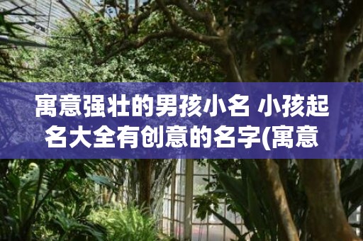 寓意强壮的男孩小名 小孩起名大全有创意的名字(寓意强壮的男孩小名)