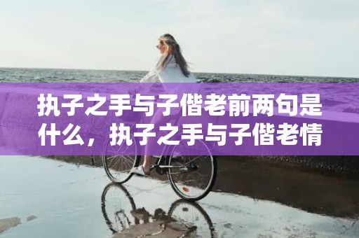 执子之手与子偕老前两句是什么，执子之手与子偕老情诗