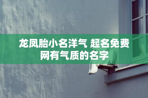 龙凤胎小名洋气 起名免费网有气质的名字