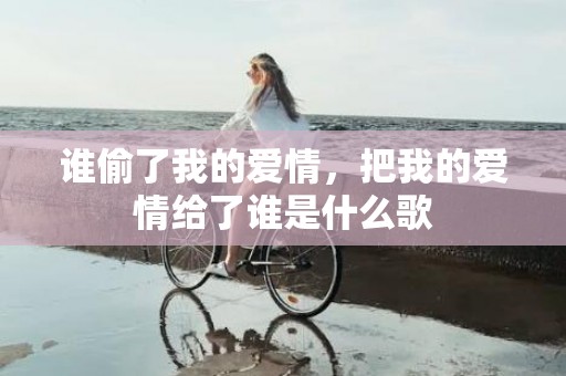 谁偷了我的爱情，把我的爱情给了谁是什么歌