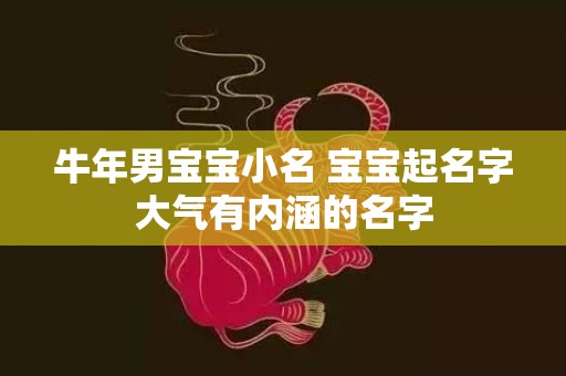 牛年男宝宝小名 宝宝起名字大气有内涵的名字