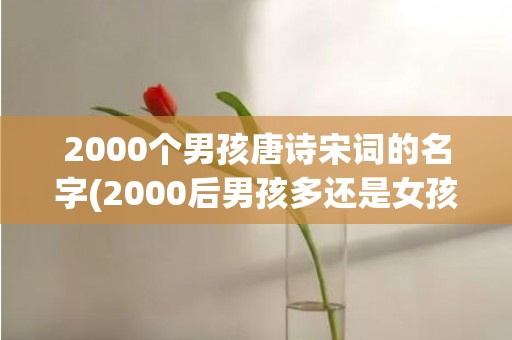 2000个男孩唐诗宋词的名字(2000后男孩多还是女孩多)