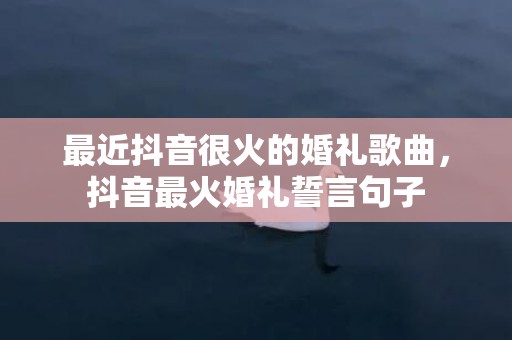 最近抖音很火的婚礼歌曲，抖音最火婚礼誓言句子