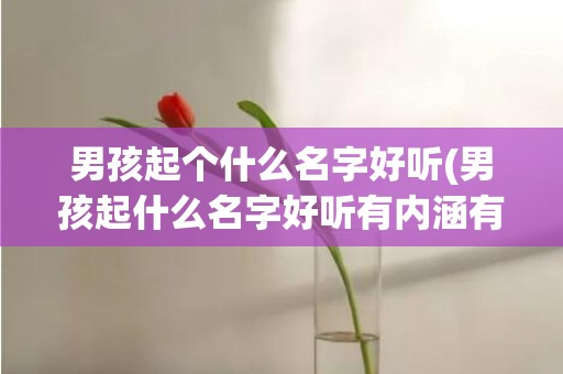 男孩起个什么名字好听(男孩起什么名字好听有内涵有寓意)