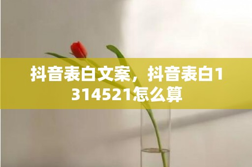 抖音表白文案，抖音表白1314521怎么算