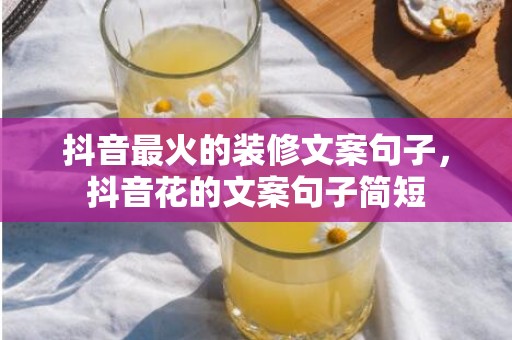 抖音最火的装修文案句子，抖音花的文案句子简短