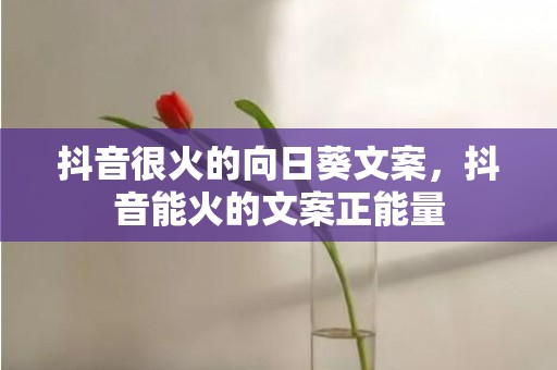 抖音很火的向日葵文案，抖音能火的文案正能量