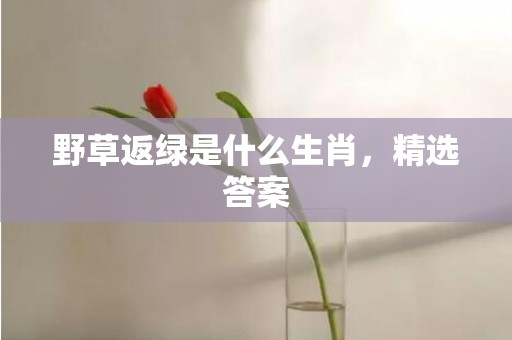 野草返绿是什么生肖，精选答案