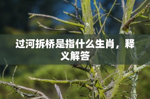 过河拆桥是指什么生肖，释义解答