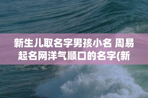 新生儿取名字男孩小名 周易起名网洋气顺口的名字(新生儿取名字男孩烁)