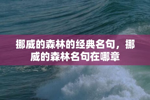 挪威的森林的经典名句，挪威的森林名句在哪章