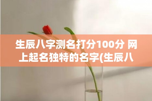 生辰八字测名打分100分 网上起名独特的名字(生辰八字测运势)