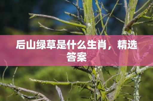 后山绿草是什么生肖，精选答案