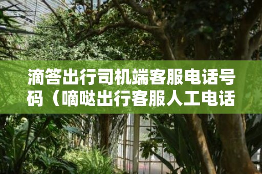 滴答出行司机端客服电话号码（嘀哒出行客服人工电话是多少）