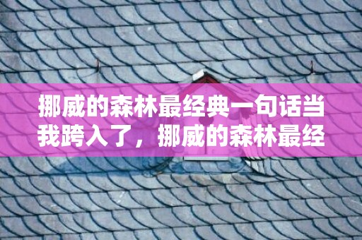 挪威的森林最经典一句话当我跨入了，挪威的森林最经典的句子