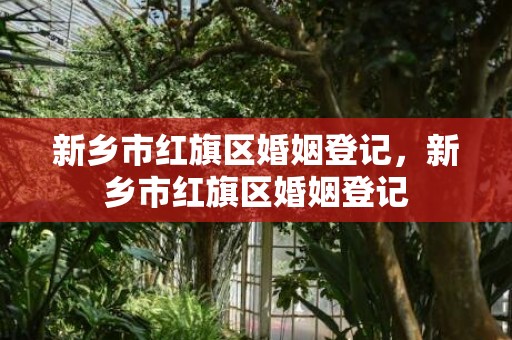 新乡市红旗区婚姻登记，新乡市红旗区婚姻登记