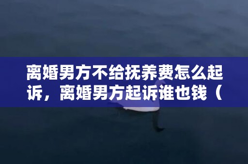 离婚男方不给抚养费怎么起诉，离婚男方起诉谁也钱（离婚男方起诉女方!要赔钱吗）