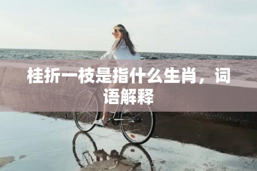 桂折一枝是指什么生肖，词语解释