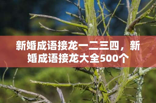 新婚成语接龙一二三四，新婚成语接龙大全500个