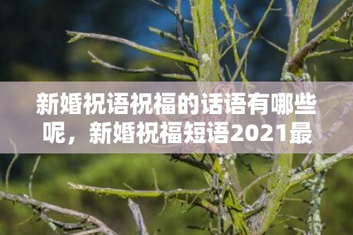 新婚祝语祝福的话语有哪些呢，新婚祝福短语2021最火