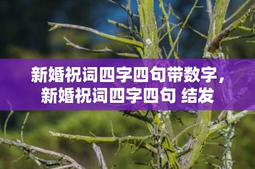 新婚祝词四字四句带数字，新婚祝词四字四句 结发