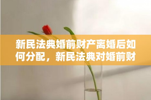 新民法典婚前财产离婚后如何分配，新民法典对婚前财产的规定