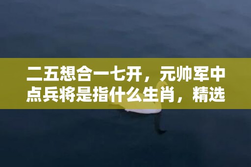 二五想合一七开，元帅军中点兵将是指什么生肖，精选已解