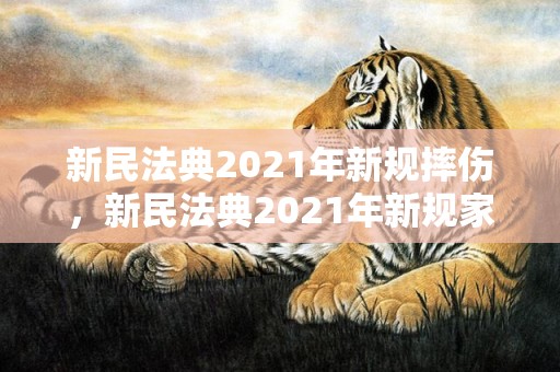 新民法典2021年新规摔伤，新民法典2021年新规家暴