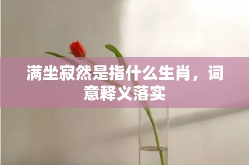 满坐寂然是指什么生肖，词意释义落实