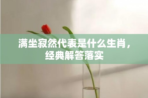 满坐寂然代表是什么生肖，经典解答落实