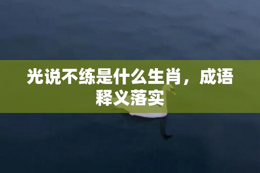 光说不练是什么生肖，成语释义落实