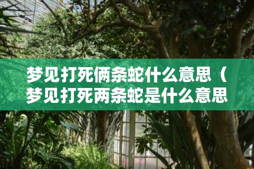 梦见打死俩条蛇什么意思（梦见打死两条蛇是什么意思梦见两条蛇打死了一条是什么意...）